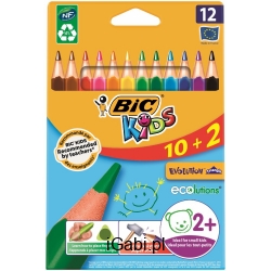 KREDKI BIC 12 SZT